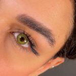 لنز رنگی جمستون مدل فورست گرین