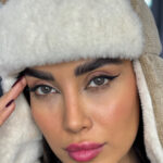 لیزا وایلد گری طوسی تیره