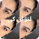 لنز ان کی